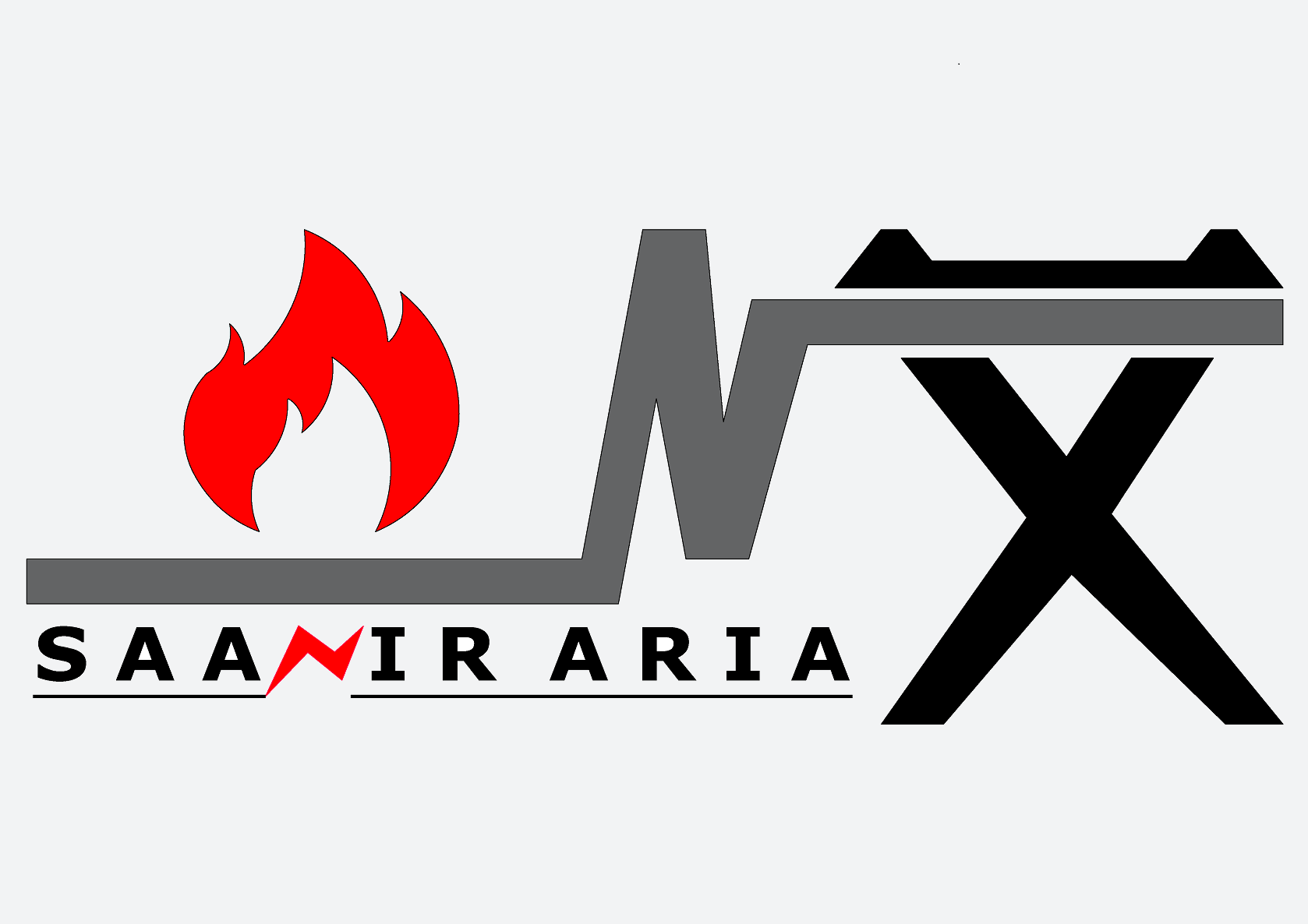 Logo-saaniraria